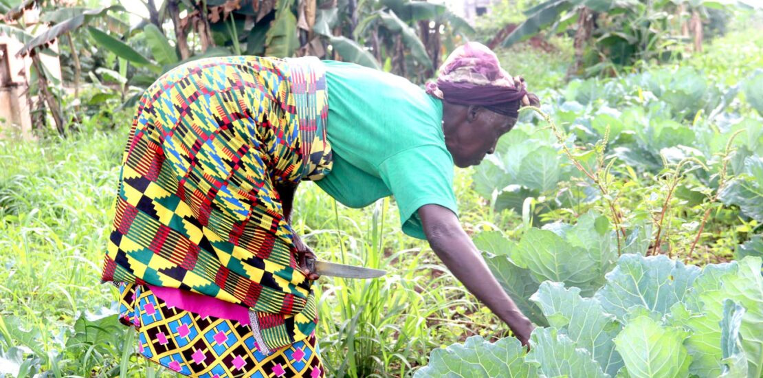 Sustainable-Agri-food-cover