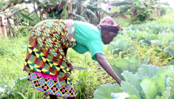 Sustainable-Agri-food-cover