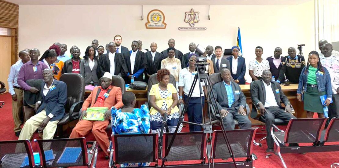 social justice and strategic litigation-cover